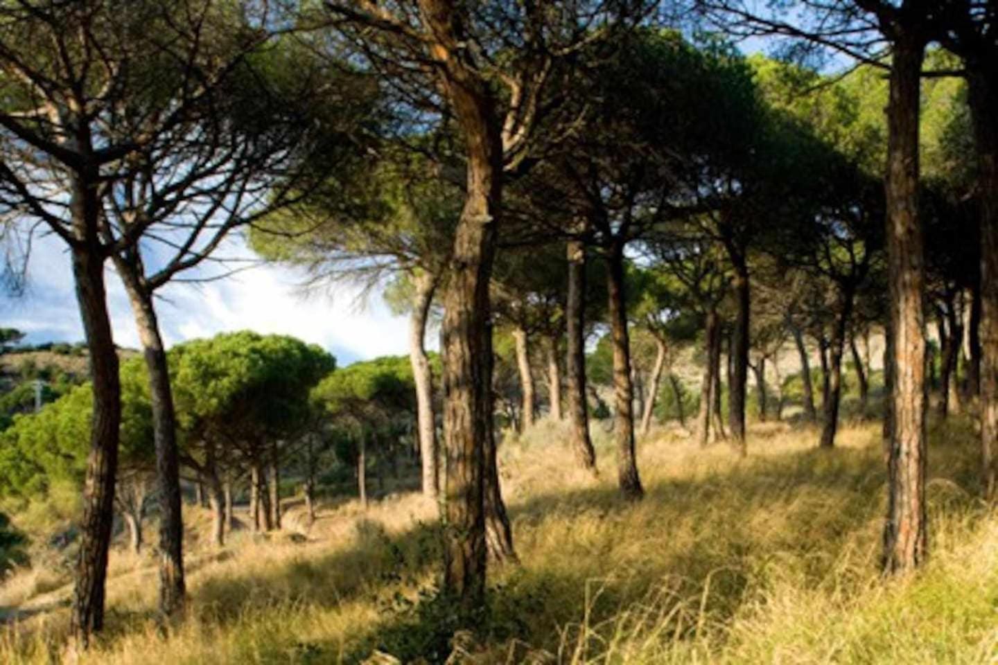Вилла Ca Landreu Ecoturisme Tiana Экстерьер фото